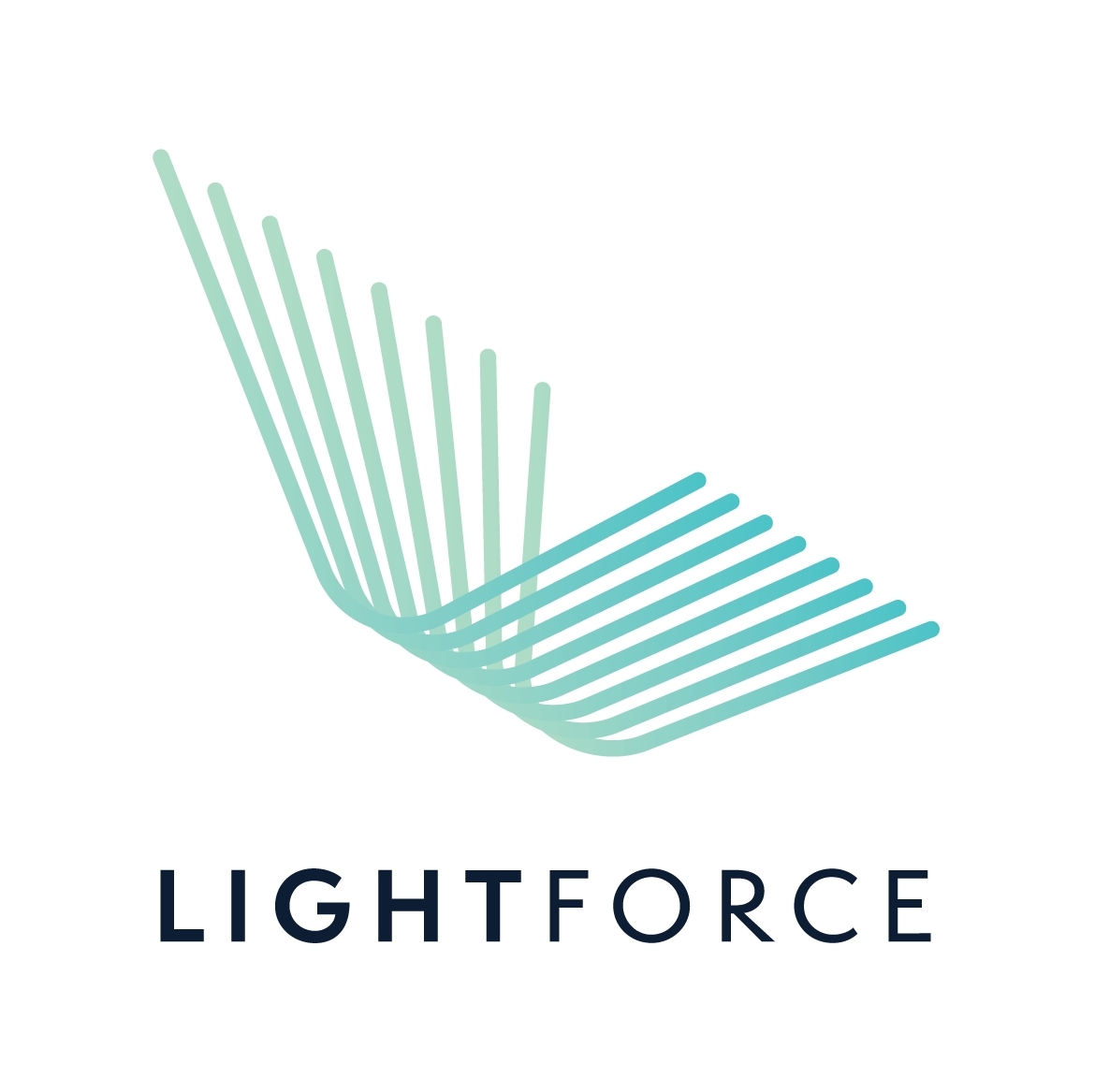 20LFO_LogoandLogotype_CMYK-02